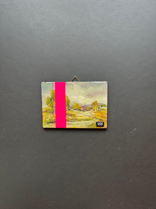 #53 pink stripe 12,5 x 9 cm XS