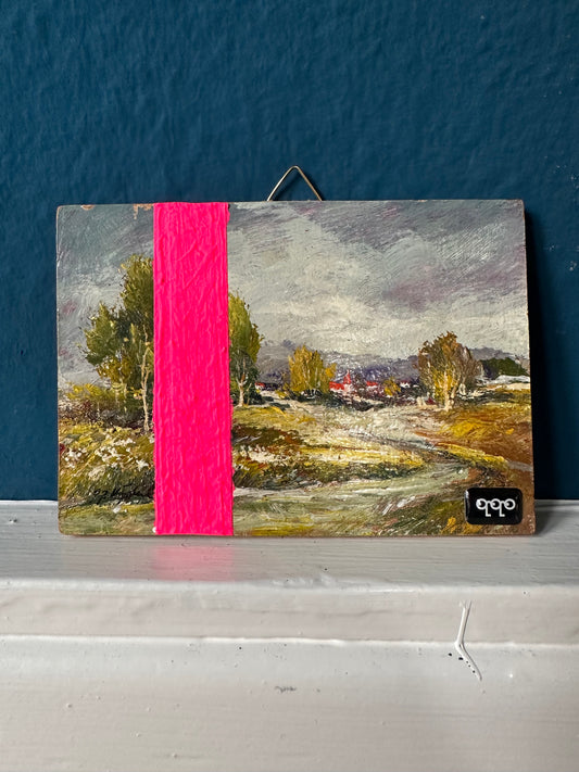 #53 pink stripe 12,5 x 9cm XS